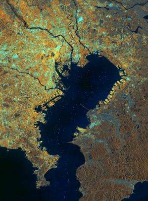 Image: Tokyo Bay, Japan from orbit