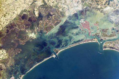 Image: Venice Lagoon from orbit