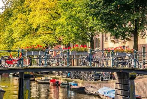 Imaginative ideas for a 'greenlight district’ in Amsterdam