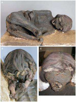Impact on mummy skull suggests murder