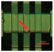 Improving printed electronics process and device characterization