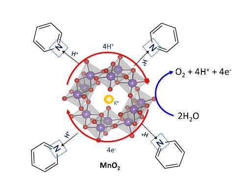 Insights from nature for more efficient water splitting