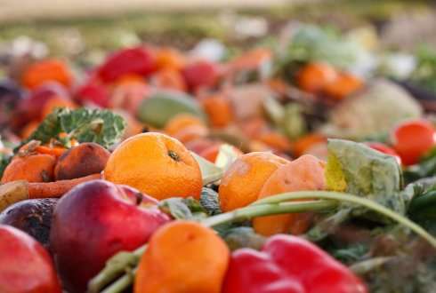 Integrated approach vital to reduction food waste and loss