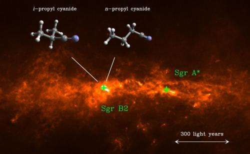Interstellar molecules are branching out