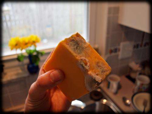 Is it safe to cut mould off food?