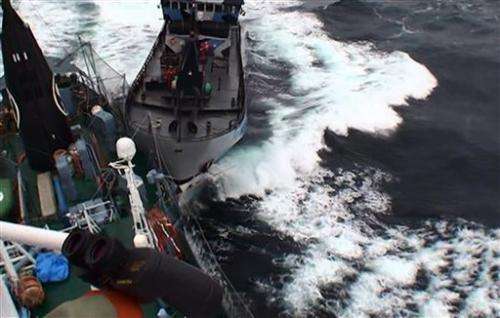 Japanese whalers, protesters clash off Antarctica