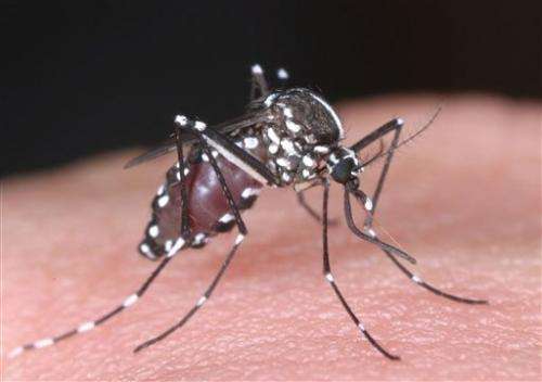 Japan sees 1st local dengue case in over 60 years