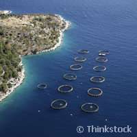 Joining forces to make waves in Mediterranean aquaculture