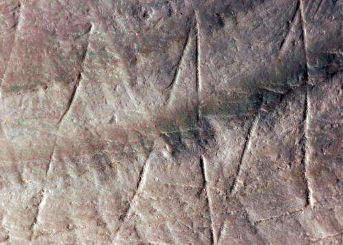 Oldest engraving rewrites view of human history