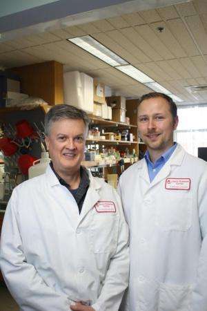 Joslin discovery may hold clues to treatments that slow aging