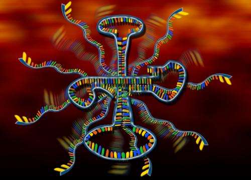Jumping hurdles in the RNA world