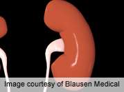 Kidney injury not uncommon after cardiovascular intervention