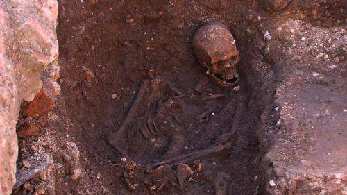 King Richard III -- case closed after 529 years