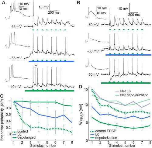 L6 activity enhances the relay of frequency stimuli by reducing supra- and subthreshold adaptation