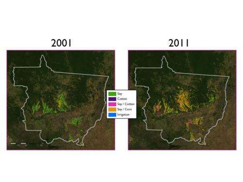 Land quality and deforestation in Mato Grosso, Brazil