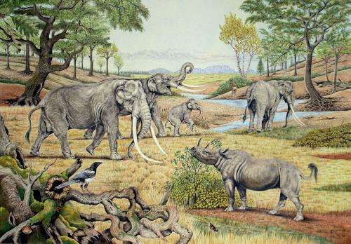 Large mammals were the architects in prehistoric ecosystems
