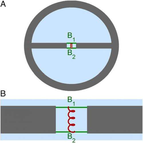 Layout of the double-beam waveguide