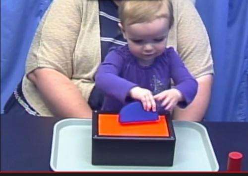 Learning by watching, toddlers show intuitive understanding of probability