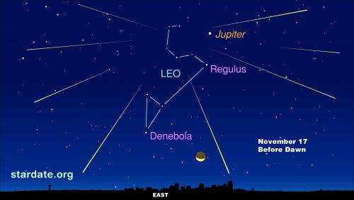 Leonid meteor shower best views before dawn November 17, 2014