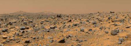 Lichen on Mars