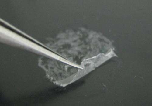 Like cling wrap, new biomaterial can coat tricky burn wounds and block out infection