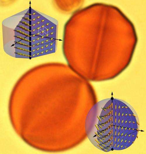 Liquid crystal turns water droplets into ‘gemstones,’ penn materials research shows