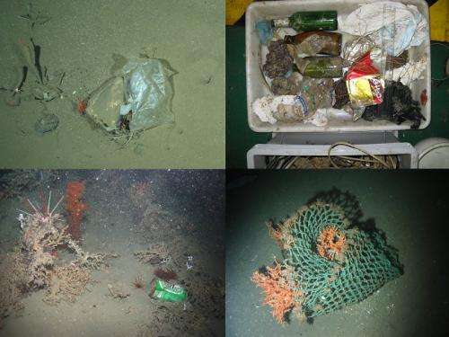 Litter now everywhere in the ocean