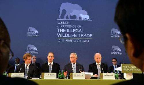 (L- R) Princes Harry, William and Charles sit alongside Foreign Secretary William Hague at the Illegal Wildlife Trade Conference