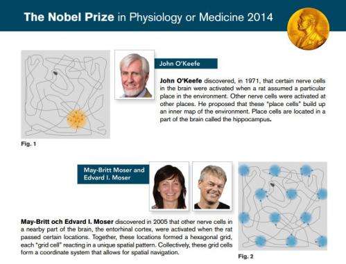 Trio win Nobel medicine prize for brain's 'GPS'