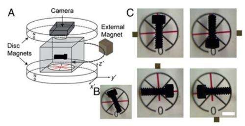 Researchers devise several ways to orient nonmagnetic objects in 3D space using magnetic levitation