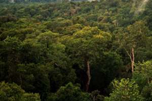 Manchester scientists head to tropical rainforests for climate study