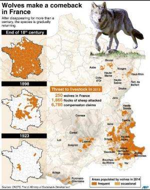 Map locating wolf populations in France and statistics about the impact on livestock