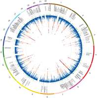 Mapping reveals 110 multiple sclerosis risk genes