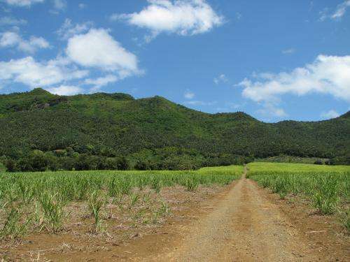 Mauritius kestrels show long-term legacy of man-made habitat change