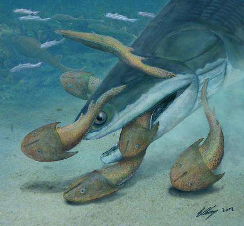 Researchers unearth largest Silurian vertebrate to date—meter long Megamastax
