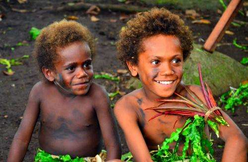 Melanesian offspring prove less susceptible to malaria