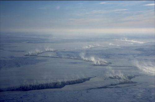 Mercury and ozone depletion events in the Arctic linked to sea-ice dynamics