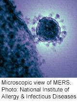 MERS virus did not spread in 2 U.S. cases: health officials