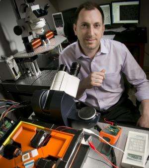 Microchip-like technology allows single-cell analysis