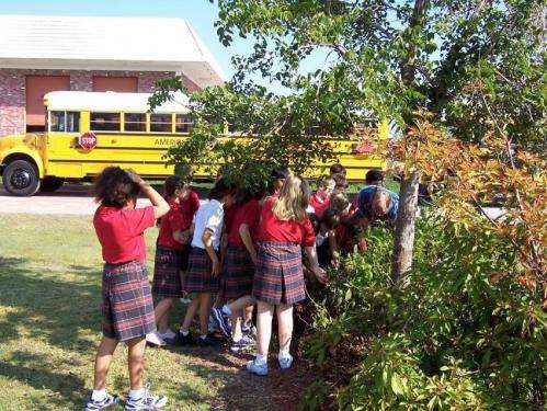Middle school students introduced to arboriculture topic