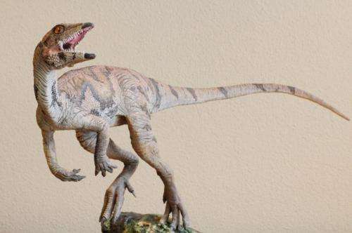 Early dino was turkey-sized, social plant-eater