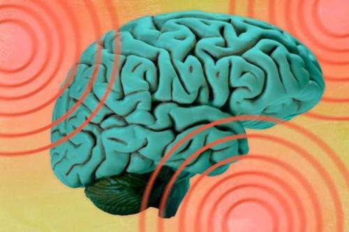 Modeling shockwaves through the brain