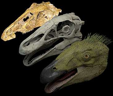 Modern technology restores ancient dinosaur fossil