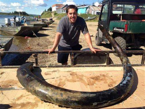 Mom, son find wooly mammoth tusks 22 years apart (Update)