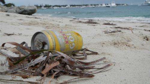 More management needed for Rottnest marine debris