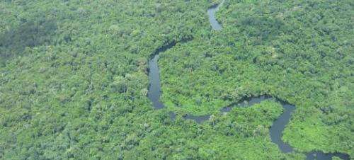 Most carbon-dense ecosystem in Amazonia mapped for first time