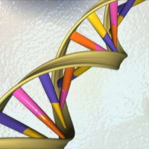 Most respond well to genetic testing results, according to study