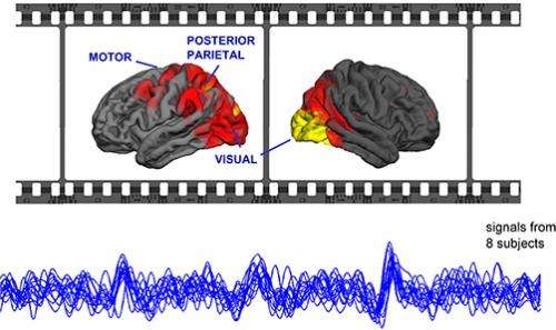 Movies synchronize brains