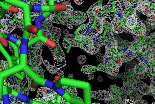 Mysteries of 'molecular machines' revealed