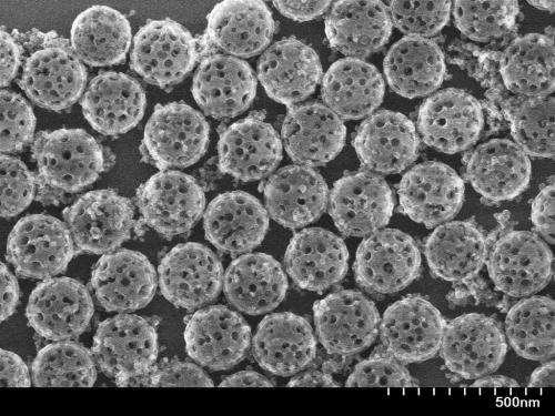 Nanoshell shields foreign enzymes used to starve cancer cells from immune system